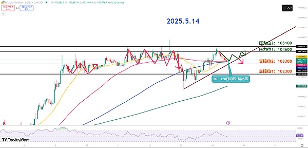 XRP惊现地板价预警：分析师深度解读0.1美元可能性