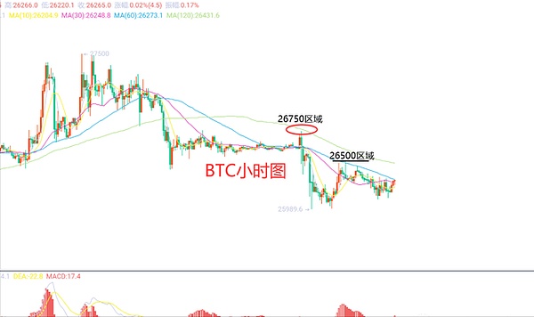 一个老韭菜的市场感悟：在数字货币浪潮中保持清醒